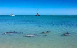 Westaustralien, Teil 1